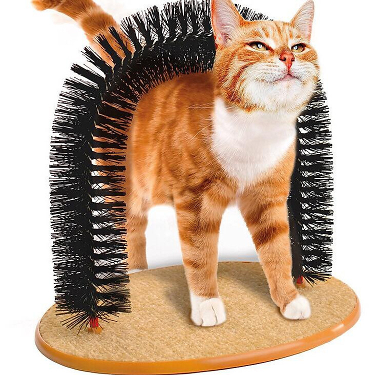 BÀN CẠO LƯNG CHO MÈO