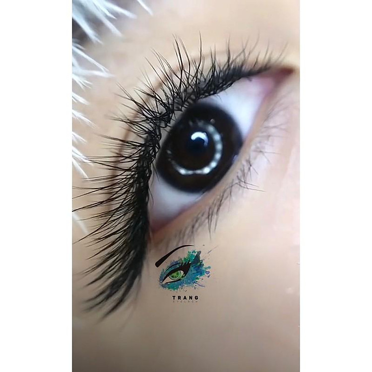 Mi 0.07 W mix - siêu phẩm mi cỏ 3 lá (Siêu phẩm giúp nối mi siêu nhanh)