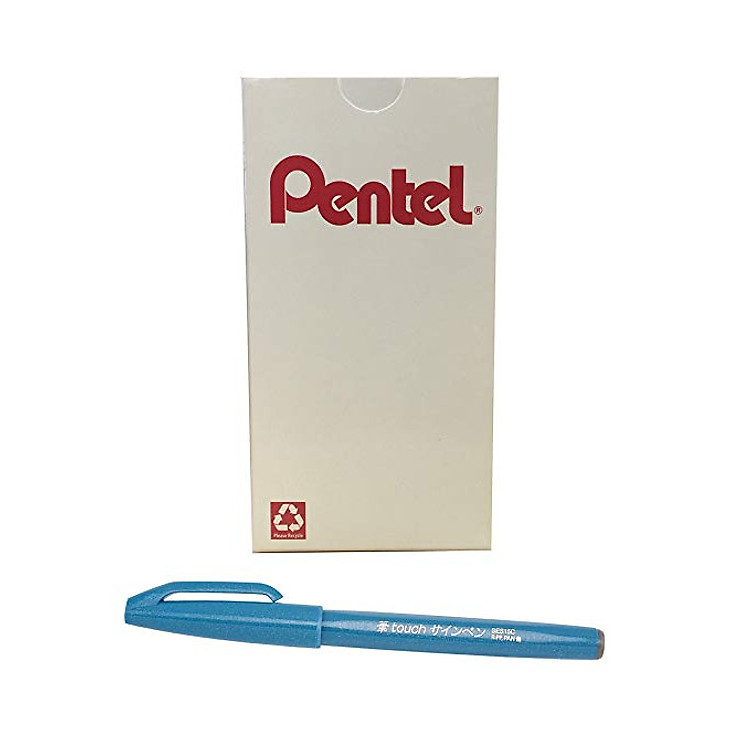 Bút viết thư pháp SES15C-S