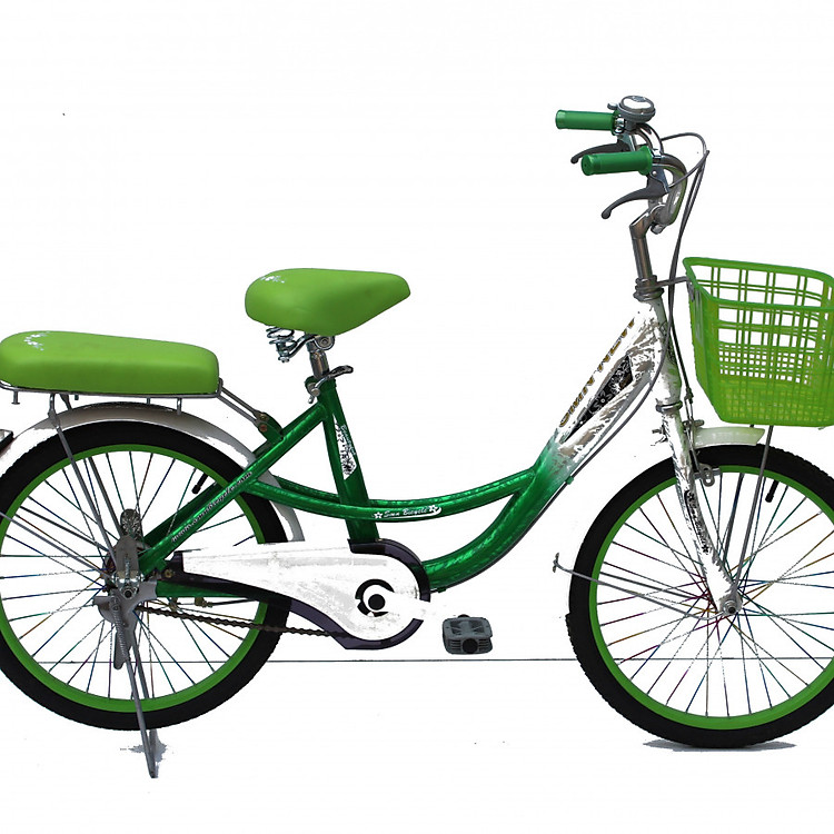 Xe Đạp Thời Trang SMNBike CL 20-05
