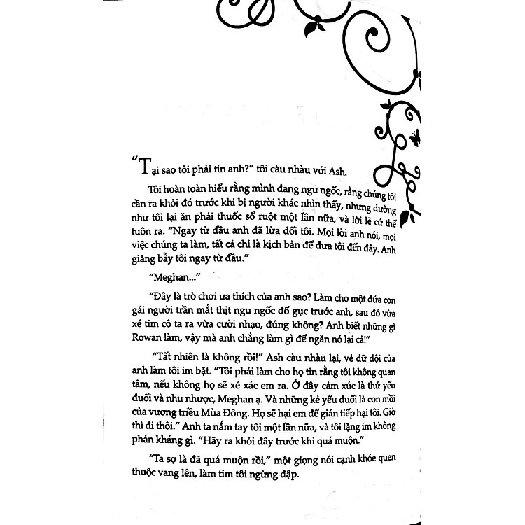 Thiếu Nữ Sắt (Phần 2 Series Thế Giới Của Tiên Sắt) - Ảnh 4