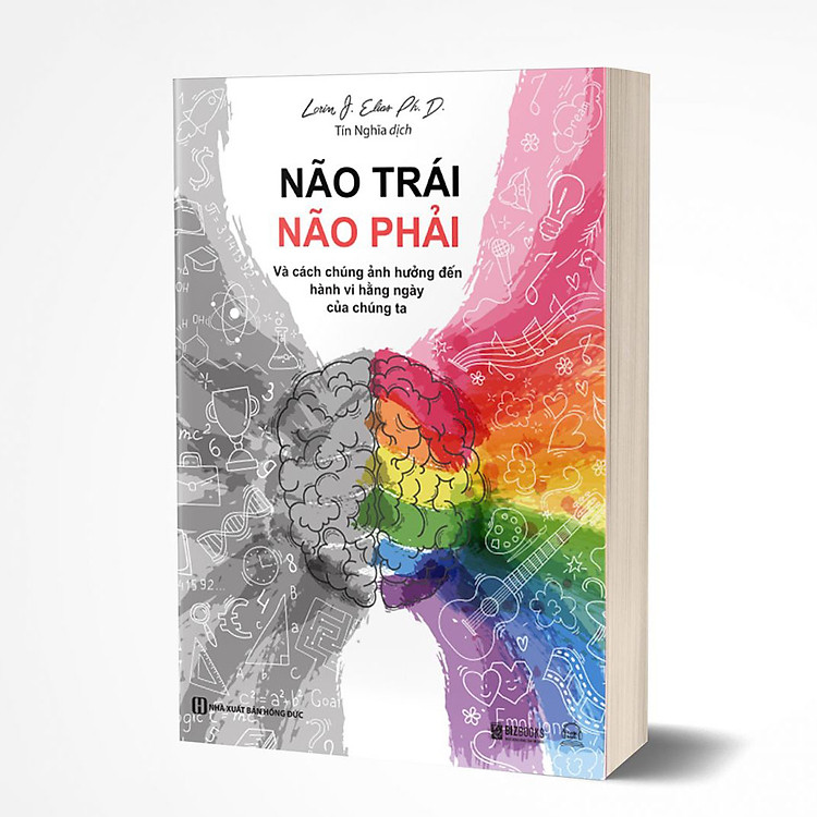 Não Trái – Não Phải: Và Cách Chúng Ảnh Hưởng Đến Hành Vi Hằng Ngày Của Chúng Ta