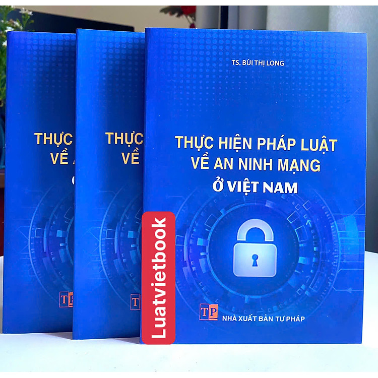 Thực Hiện Pháp Luật Về An Ninh Mạng Ở Việt Nam