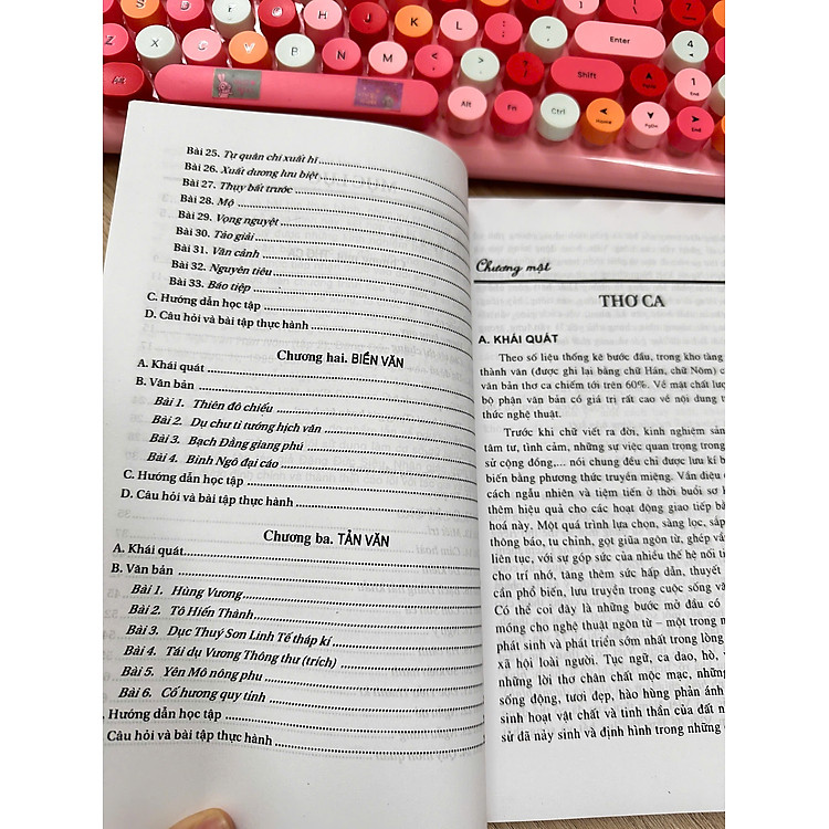 Văn bản Hán văn Việt Nam (tái bản mới nhất 2025) - Ảnh 3