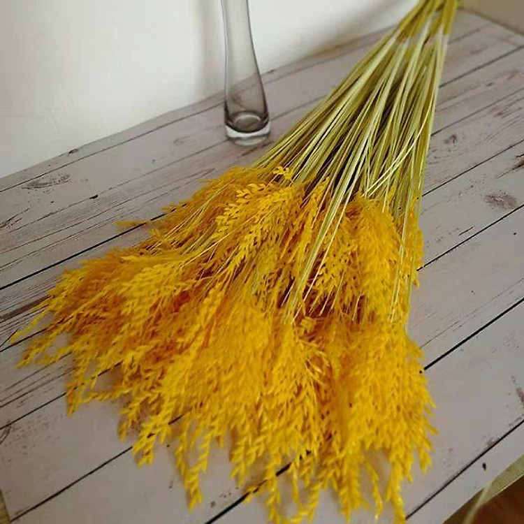Set 10 Cây Bông Lúa Nhựa Cao Cấp dài 80cm Trưng bày trong nhà cực kỳ đẹp mắt