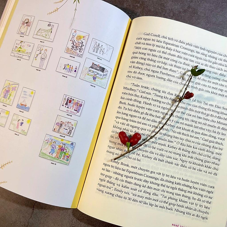 Nghệ Thuật Chữa Lành - Hành Trình Tìm Kiếm Tri Thức Và Khả Năng Tự Chữa Lành Bên Trong Bạn - Ảnh 7