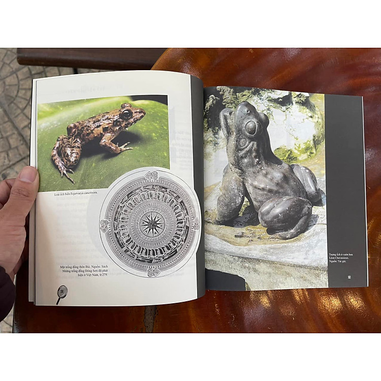 MỸ THUẬT VIỆT SOI TỪ PHÍA KHÁC - HÌNH ẢNH VÀ BÌNH LUẬN - Ảnh 2