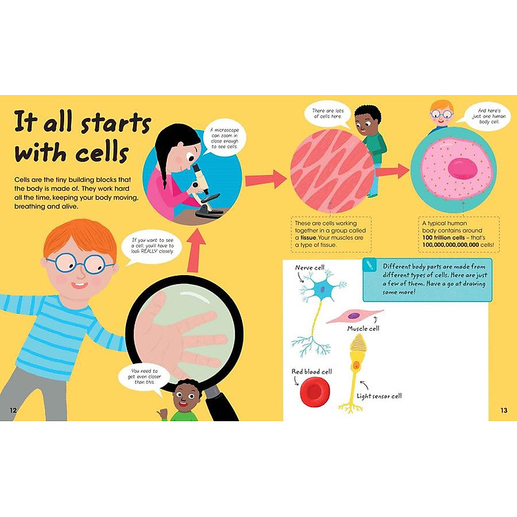 Factivity Vol. 2 - Discover Your Amazing Human Body - Ảnh 2