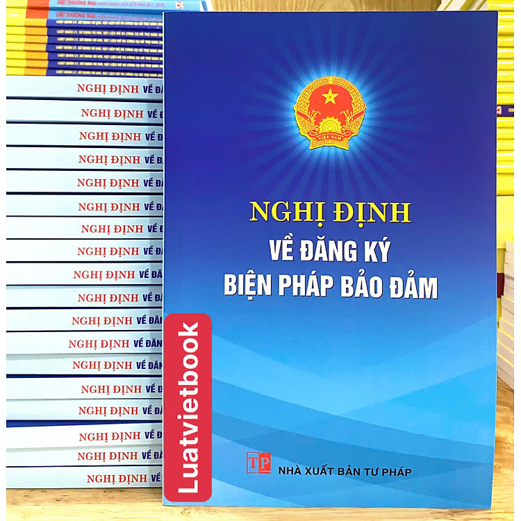Nghị Định Về Đăng Ký Biện Pháp Bảo Đảm - Ảnh 2