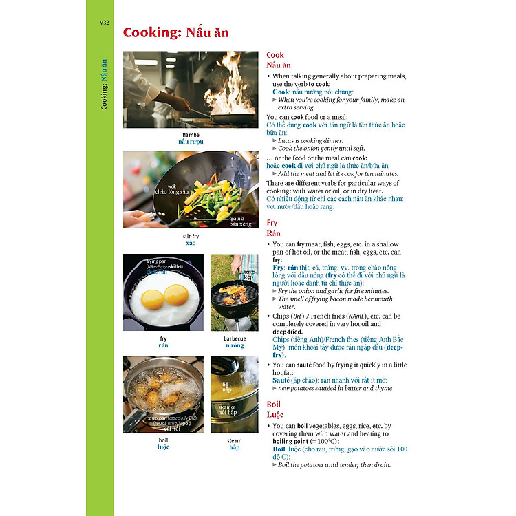 Oxford Advanced Learner's Dictionary 8th with Vietnamese Translation - Ảnh 7