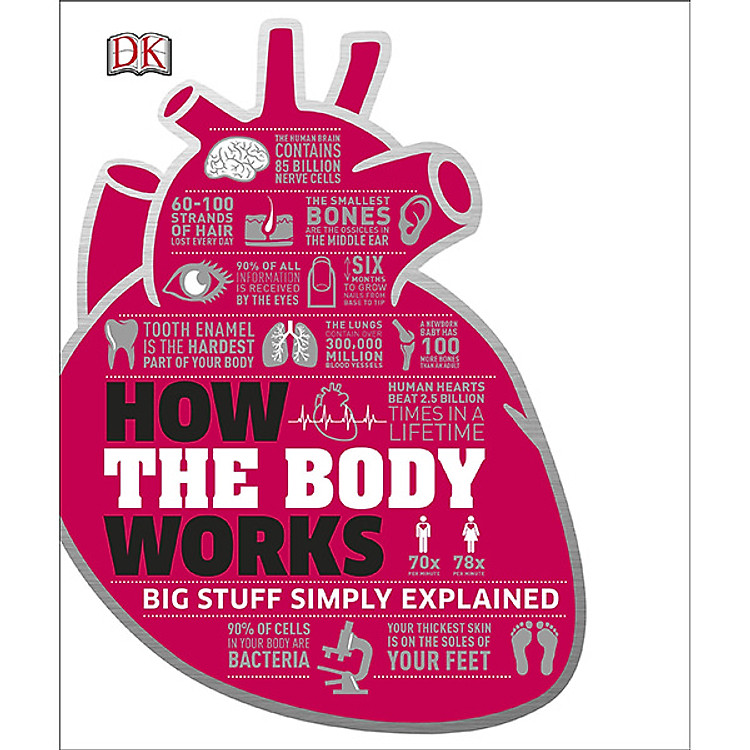 Sách DK Big Stuff Simply Explained: How The Body Works