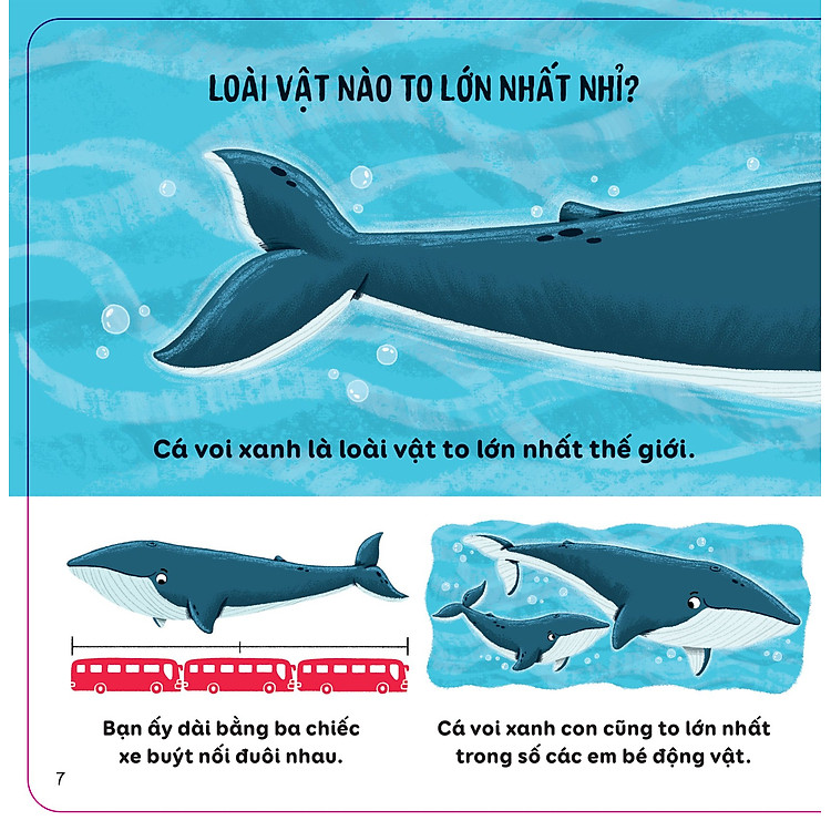 Tương Tác - Lift-The-Flap - Thế Giới Động Vật - Ảnh 6