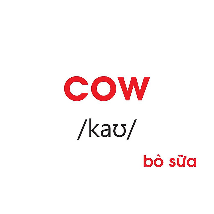 Flashcards - Dạy Trẻ Về Thế Giới Xung Quanh - Ảnh 5