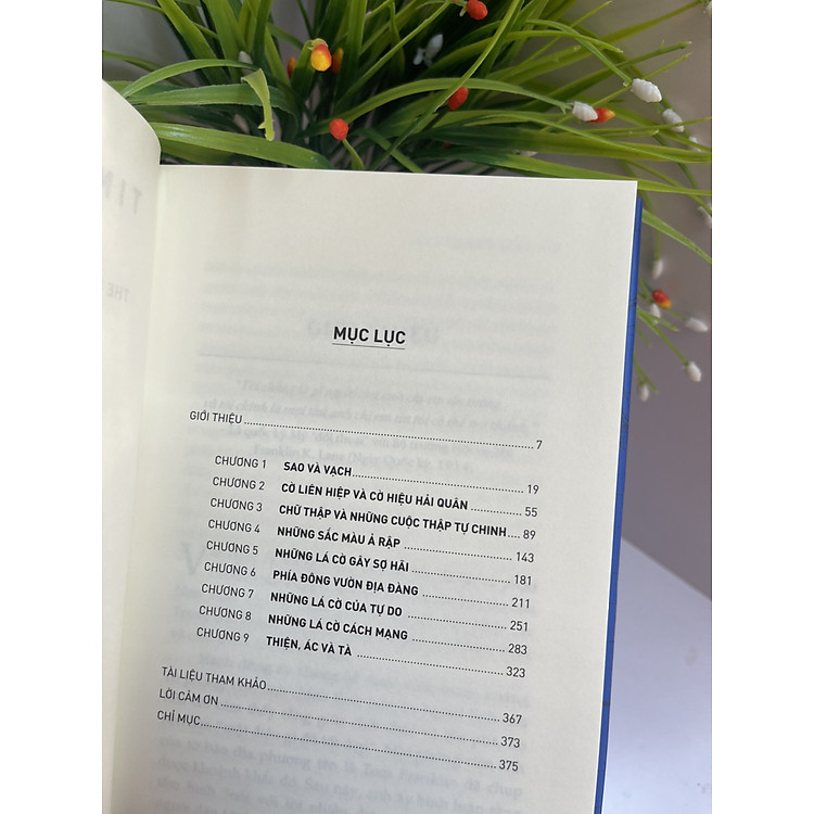 CHẾT CHO MÀU CỜ - QUYỀN LỰC VÀ CHÍNH TRỊ CỦA NHỮNG LÁ CỜ - Ảnh 2