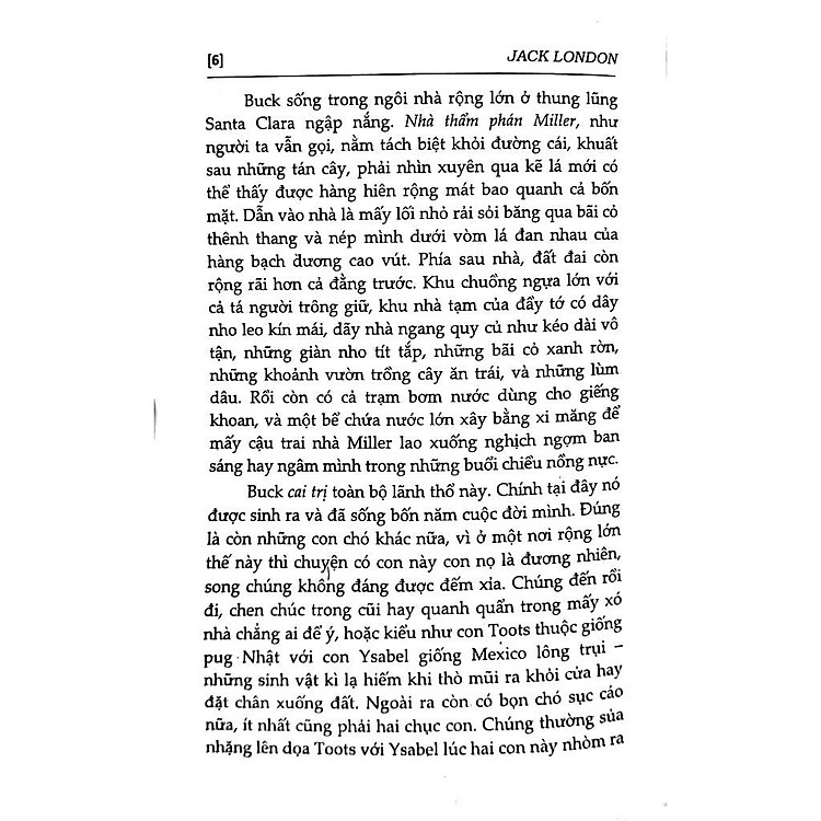 Tiếng Gọi Nơi Hoang Dã - Ảnh 3