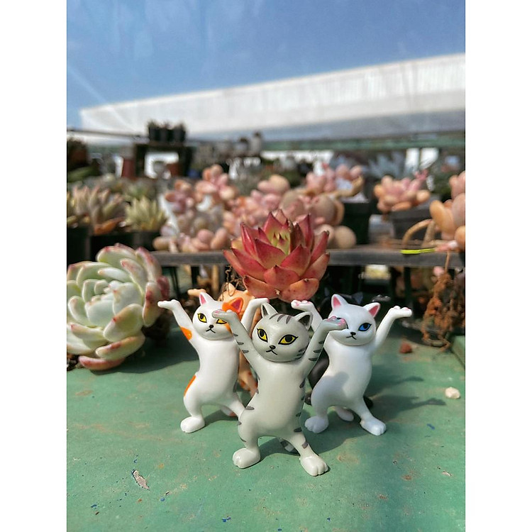 Set bộ Mô hình Mèo khiêng hòm - Phụ kiện tiểu cảnh