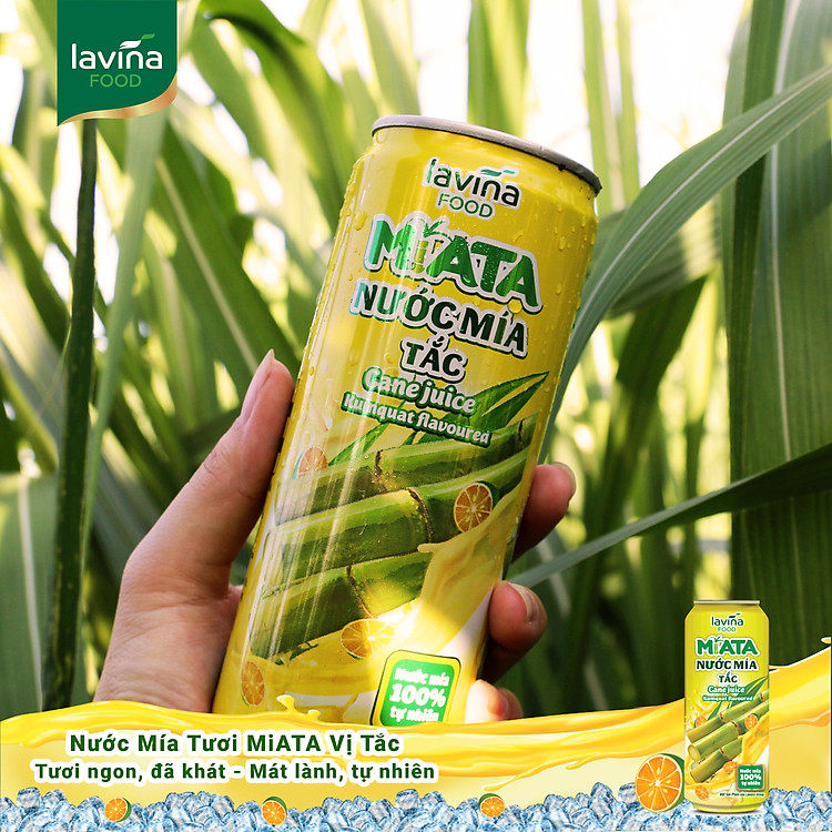Khay 24 lon Nước Mía Tươi MiATA Vị Tắc 320ml