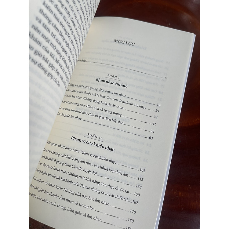 NHỮNG KẺ CUỒNG NHẠC MUSICOPHILIA – TALES OF MUSIC AND THE BRAIN - Ảnh 7