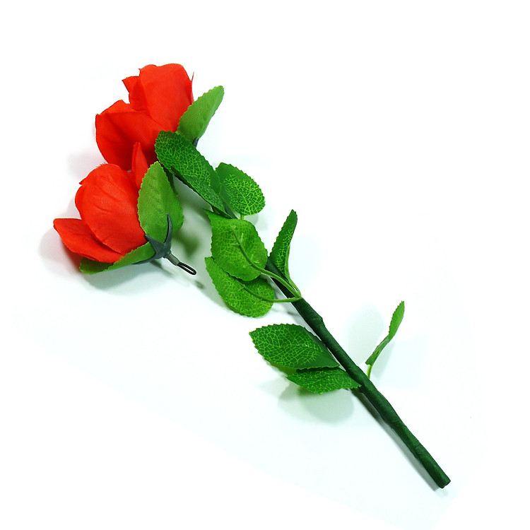 Đồ chơi ảo thuật: Hoa hồng hồi sinh