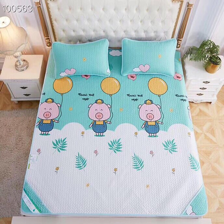 Chiếu Điều Hòa Tencel Model 2019