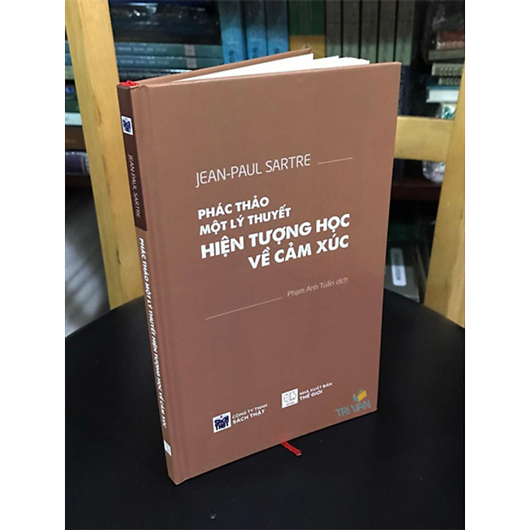 PHÁC THẢO MỘT LÝ THUYẾT HIỆN TƯỢNG HỌC VỀ CẢM XÚC