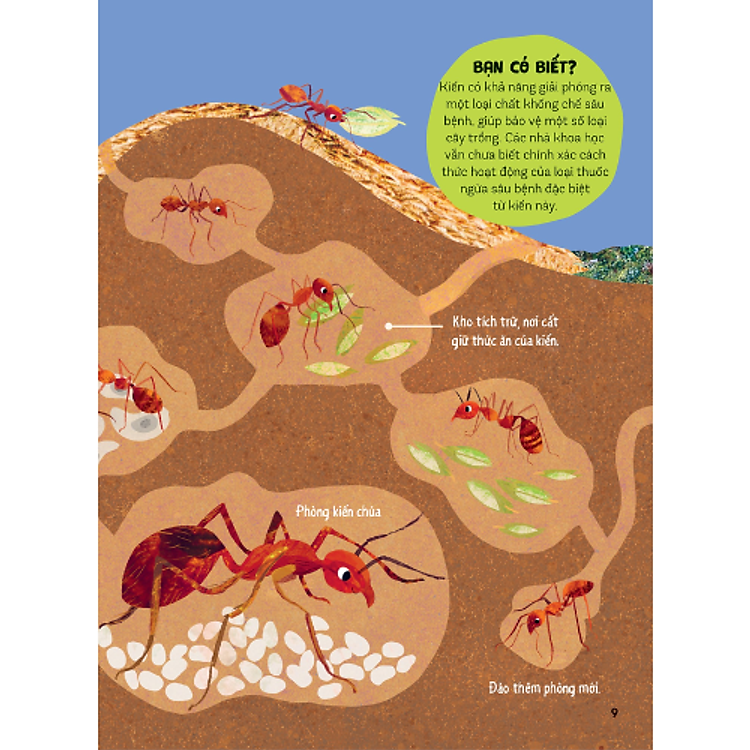 Bách Khoa Thư Britannica Dành Cho Trẻ Em - Cuốn Sách Khổng Lồ Giải Đáp 100++ Câu Hỏi TẠI SAO Hóc Búa - Ảnh 6