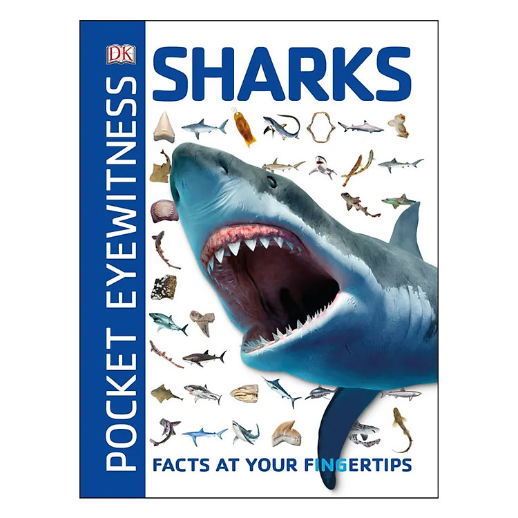 Sách Pocket Eyewitness Sharks