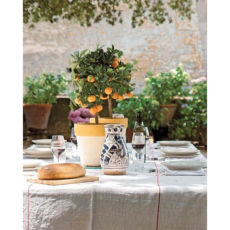 Italian Table - Ảnh 3