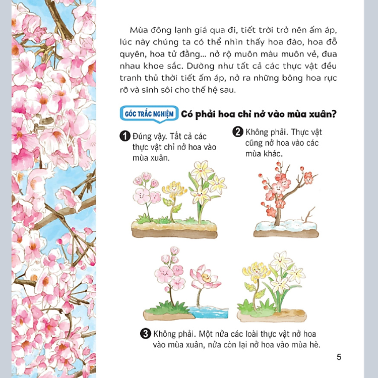 Wow, Thì Ra Là Thế! - Bí Mật Nhỏ Của Thực Vật - Ảnh 6