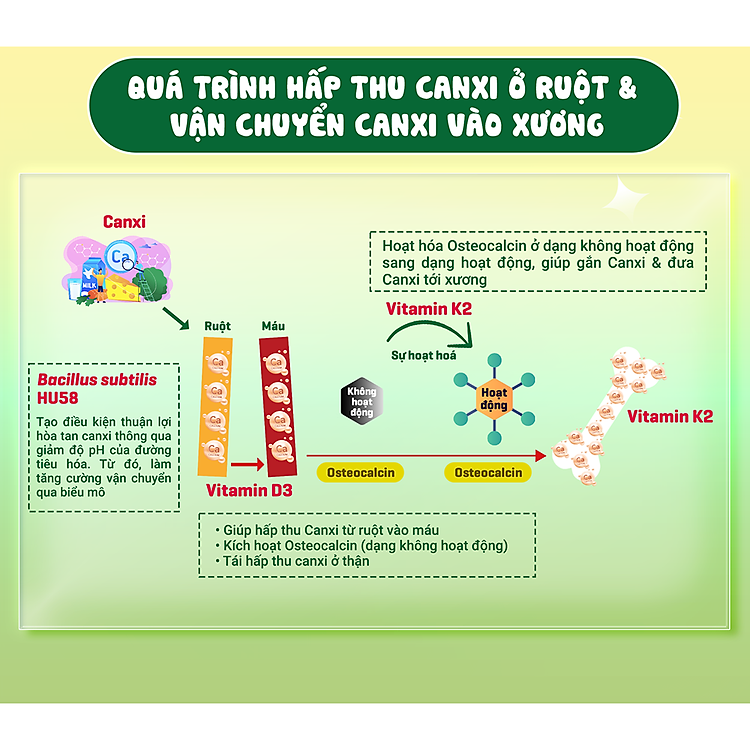 Kẹo dẻo Huro Tall - Giàu Canxi cho trẻ Uy tín Tiết kiệm - Hình ảnh 4