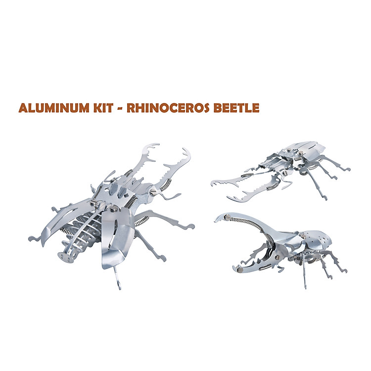 Mua Kit Mô Hình Động Vật Bọ Cánh Cứng Chính hãng Giá tốt - Hình ảnh 2