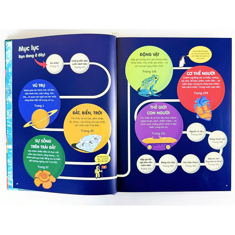 Bách Khoa Thư Bằng Đồ Họa - Ảnh 2