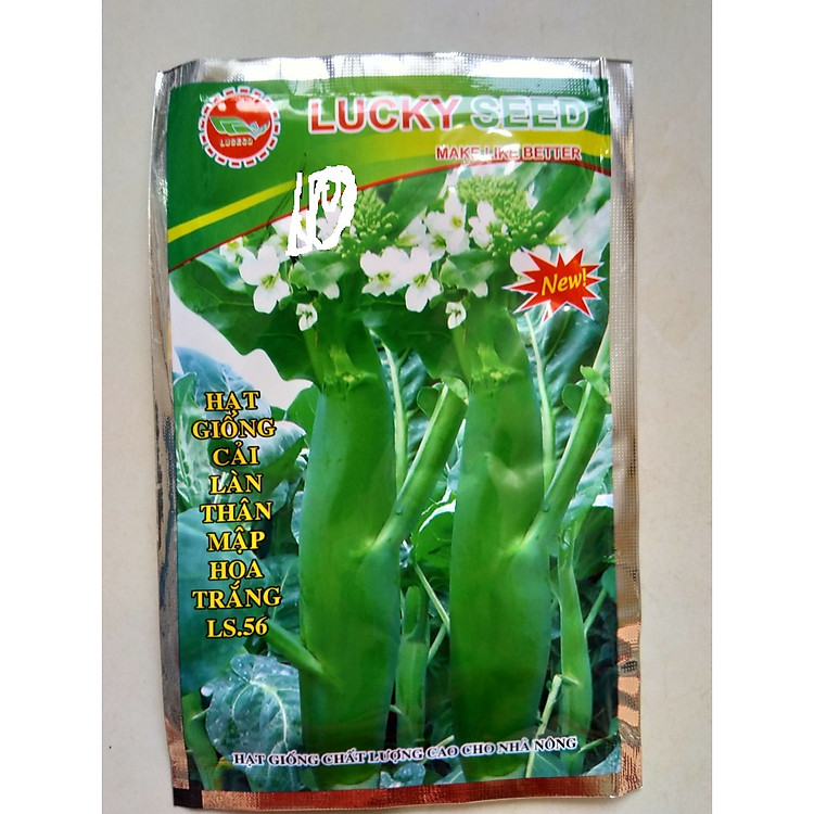 Hạt giống cải làn thân mập hoa trắng