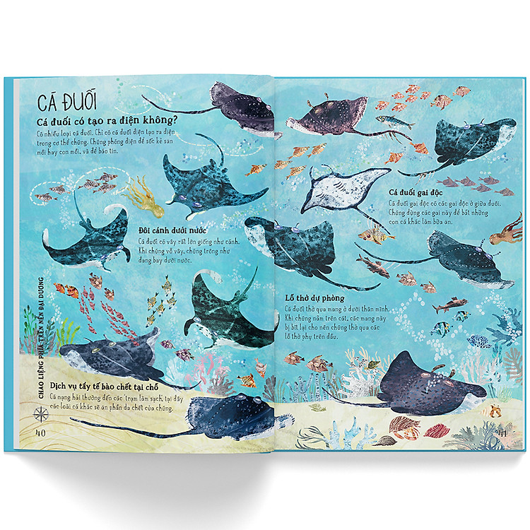 A Lê Hấp! Thế Giới Biển - Ảnh 4