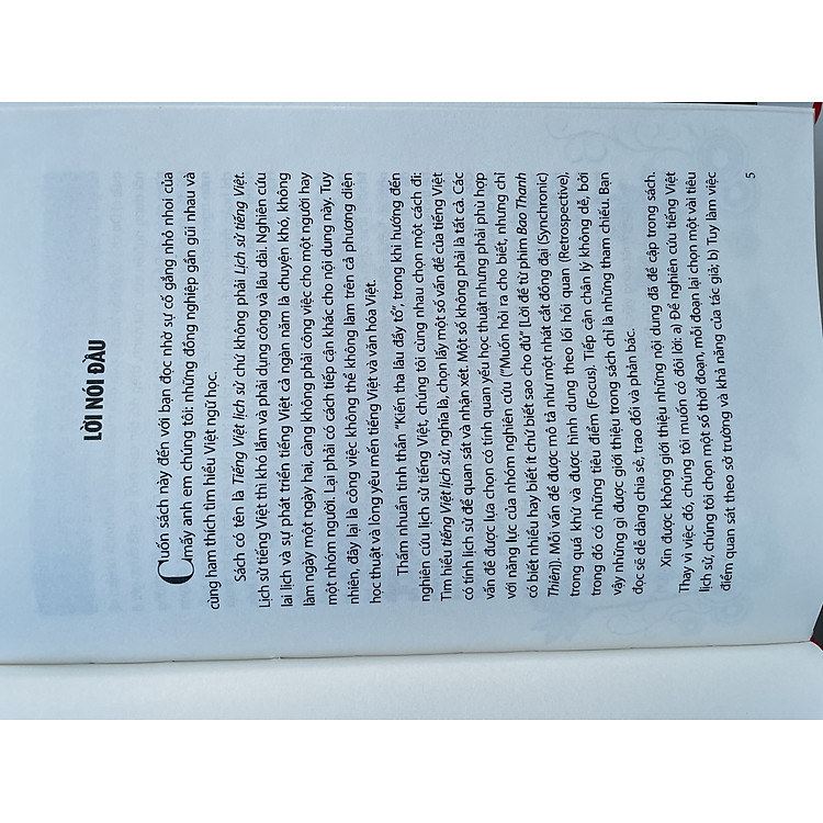 Tiếng Việt Lịch Sử - Một Tham Chiếu Hồi Quan - Ảnh 4