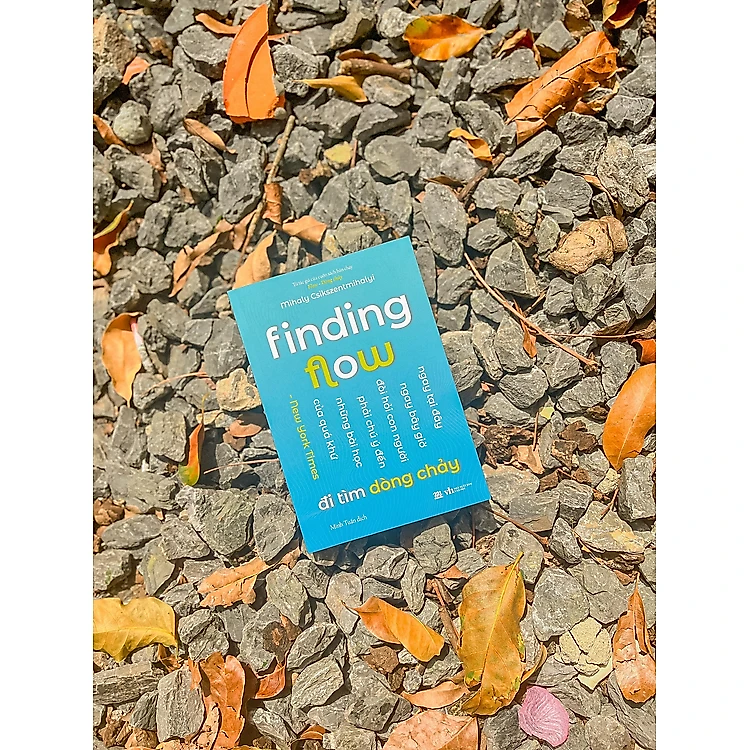Finding Flow - Đi Tìm Dòng Chảy - Ảnh 2