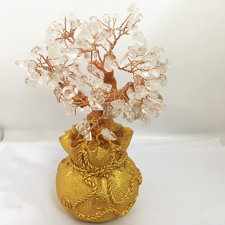 Cây phát tài cho người mệnh Kim