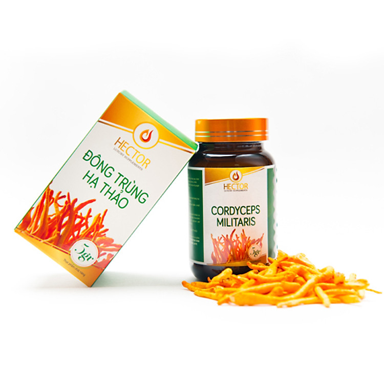 Nấm Đông trùng hạ thảo Hector sấy thăng hoa