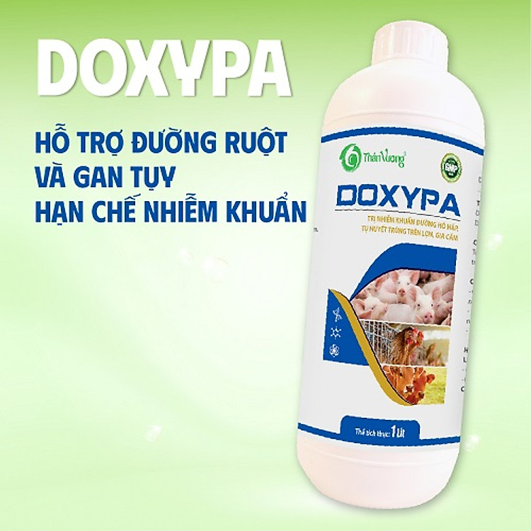 Kháng sinh cho nhiễm trùng đường hô hấp DOXYPA