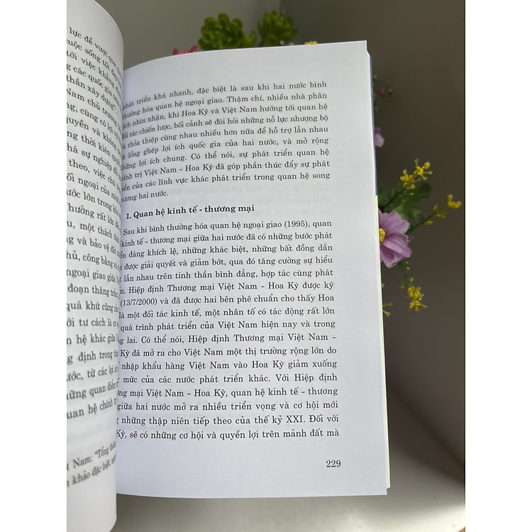 QUAN HỆ CHÍNH TRỊ VIỆT NAM HOA KỲ (1995 - 2020) - Ảnh 4