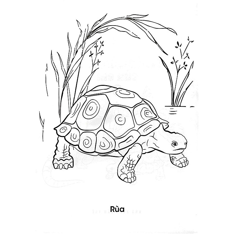 Bé Tập Tô Màu - Thảo Cầm Viên Của Em - Ảnh 3