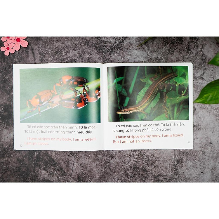 Khám Phá Thế Giới - Song Ngữ Việt Anh - Cho Trẻ 3 - 9 Tuổi - Ảnh 3
