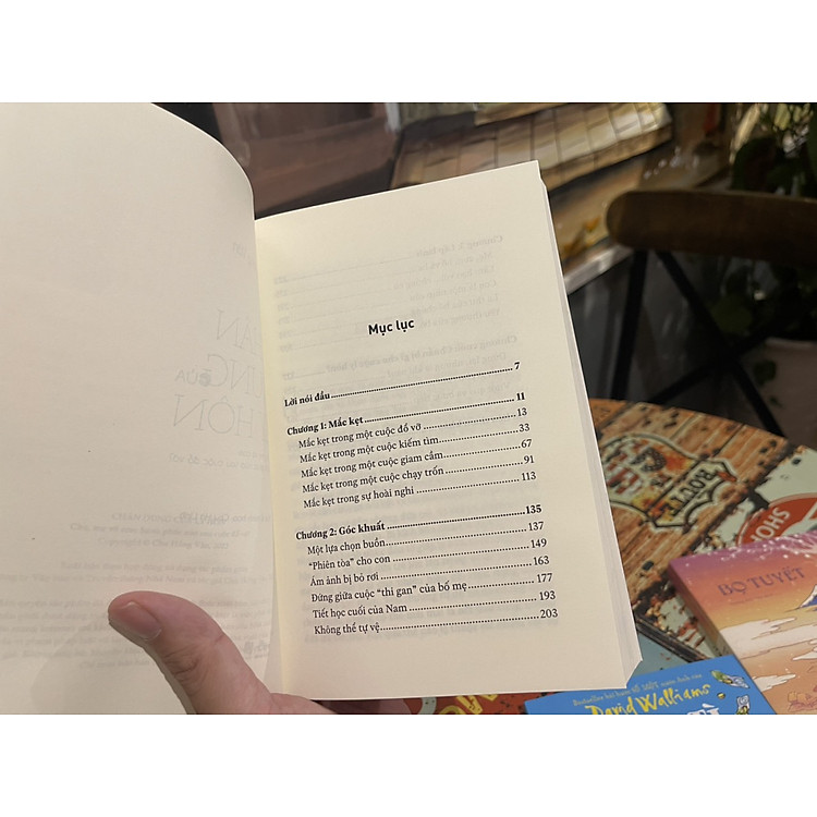 CHÂN DUNG CỦA LY HÔN – Cha mẹ và con hạnh phúc nào sau cuộc đổ vỡ? - Ảnh 4