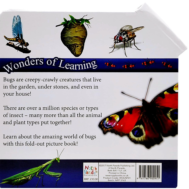 Wonder Of Learning - My Fold-Out Book Of Bugs - Ảnh 6