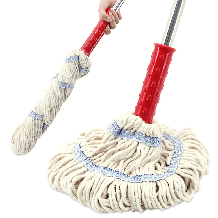 Cây Lau Nhà Yi Shida