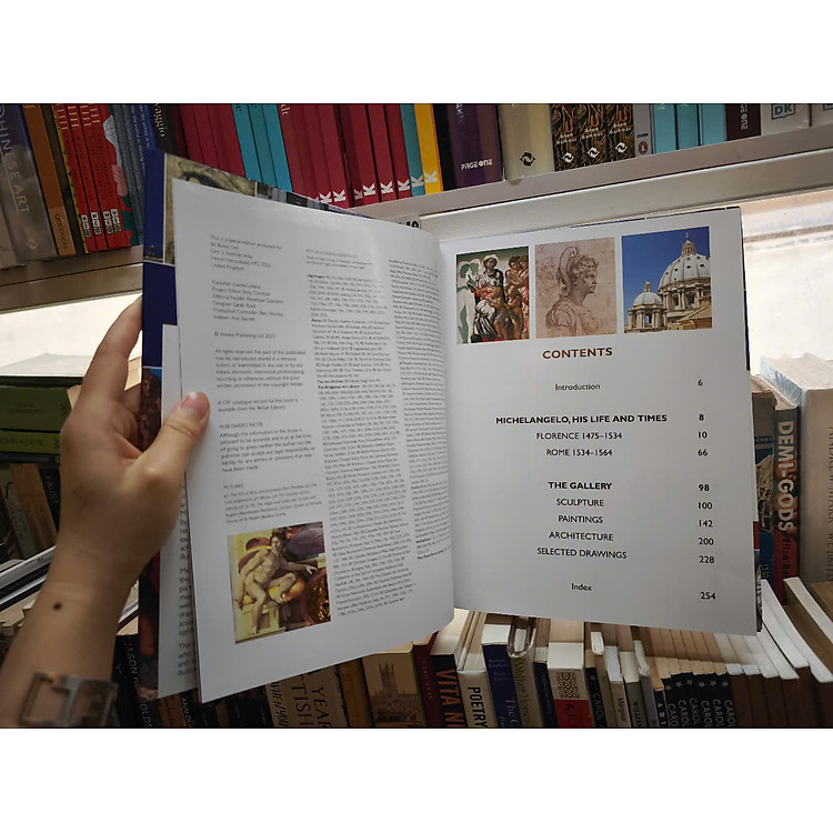 The Life and Works of Michelangelo - Ảnh 6