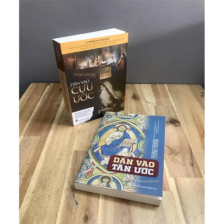 (Combo 2 cuốn) DẪN VÀO CỰU ƯỚC (Lawrence Boadt) - DẪN VÀO TÂN ƯỚC (Pheme Perkins) - Lm. Nguyễn Phú Cường & J.B Phạm Đức Sử dịch – NXB Đồng Nai