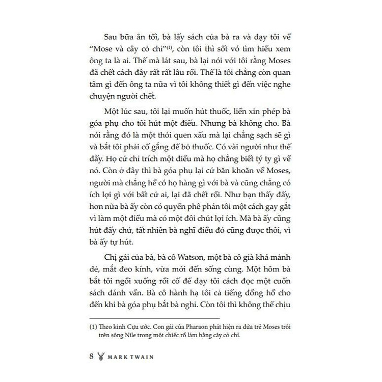 Những Cuộc Phiêu Lưu Của Huckleberry Finn - Ảnh 5