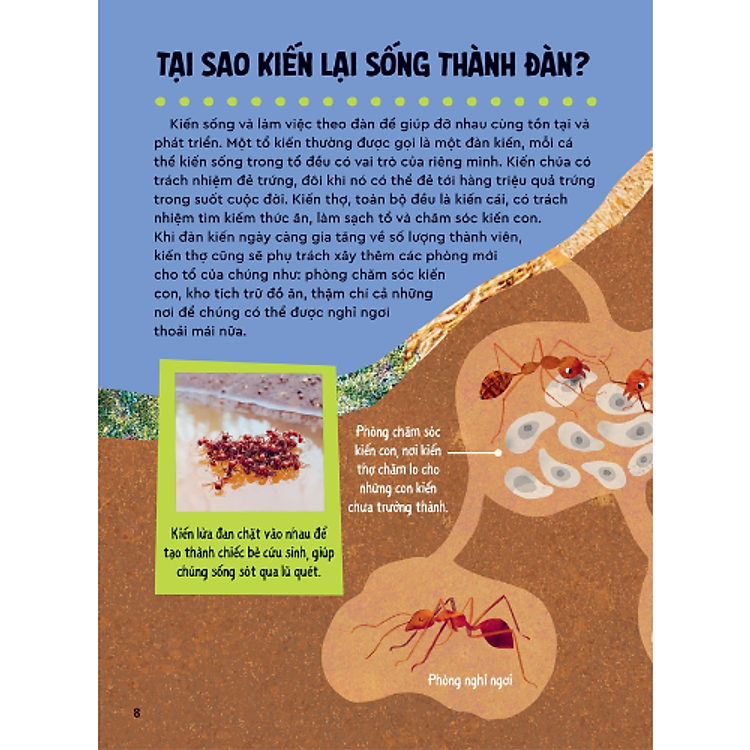 Bách Khoa Thư Britannica Dành Cho Trẻ Em - Cuốn Sách Khổng Lồ Giải Đáp 100++ Câu Hỏi TẠI SAO Hóc Búa - Ảnh 5