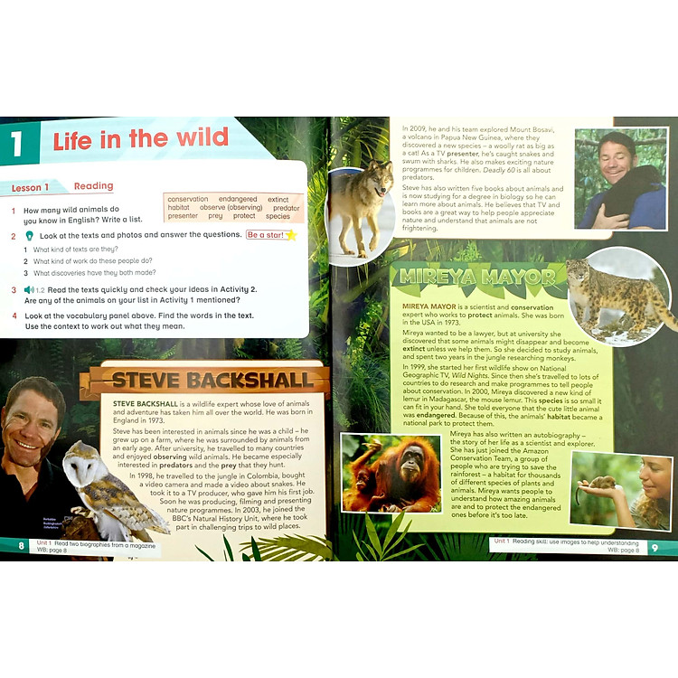 Academy Stars 6 PB Pk - Ảnh 7